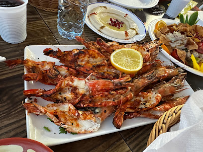 مطعم ومشاوي الشادر - الشارقة - +971 2 641 4040