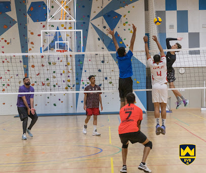 الكرة الطائرة الملكية - أم القيوين - +971 56 125 2425