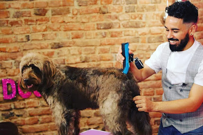 مؤسسة الفلاح البيطرية فرع محل رقم 101 - أم القيوين - +971 3 784 0774