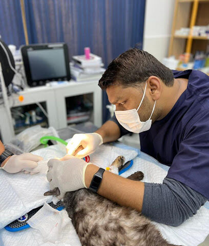 عيادة المدينة البيطرية - فرع مردف - أم القيوين - +971 800 3990