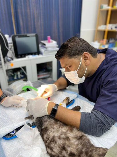 عيادة المدينة البيطرية - فرع مردف - United Arab Emirates|Mirdif - Dubai|47th St|Al Barajeel Oasis Complex