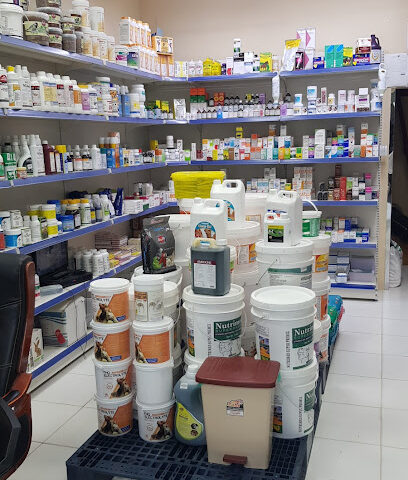 نور الشفا للطب البيطري - أم القيوين - +971 50 734 1879