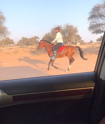 نادي الدانه للفروسية والتعليم - الشارقة - +971 56 179 9991