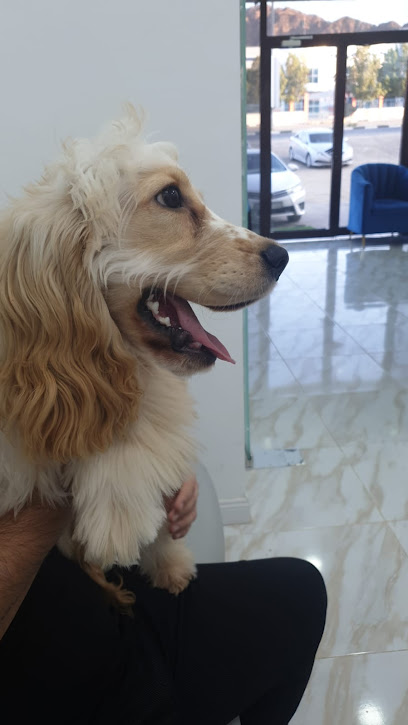 عيادة أليف البيطرية - United Arab Emirates|Al Rifa‘ - Fujairah|Sheikh Zayed Bin Sultan Al Nahyan Rd