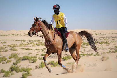 M7 مستقر - الشارقة -