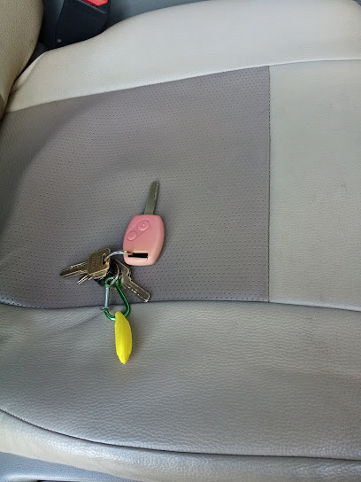 الطائف للخضار والفواكه - United Arab Emirates|Ghiyathi - Abu Dhabi|Ghayathi - Madinat Zayed Rd