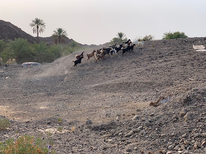 وار دام - الشارقة -