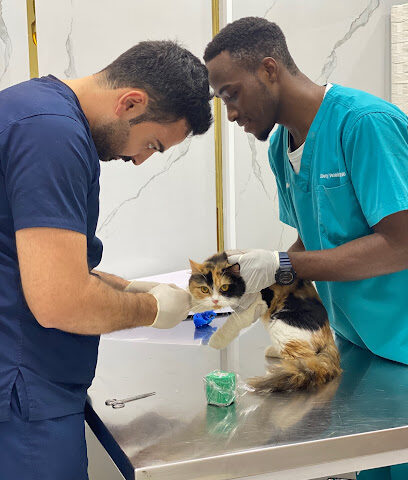 عيادة ليبرتي البيطرية الجداف - أم القيوين - +971 52 475 8857