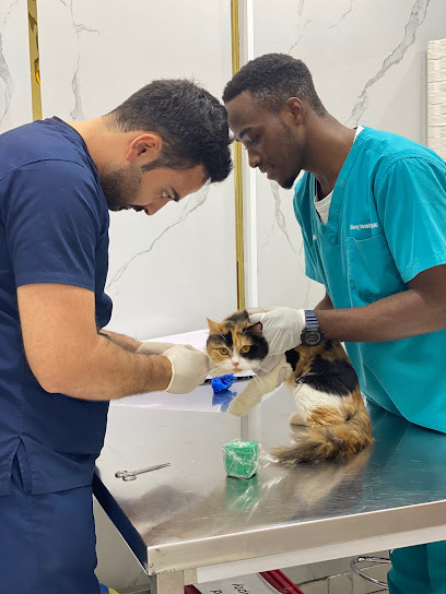 عيادة ليبرتي البيطرية الجداف - United Arab Emirates|Al Jaddaf - Dubai|street