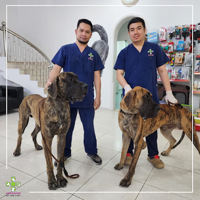 عيادة رعاية الحيوانات الأليفة المتقدمة - أم القيوين - +971 4 321 2535