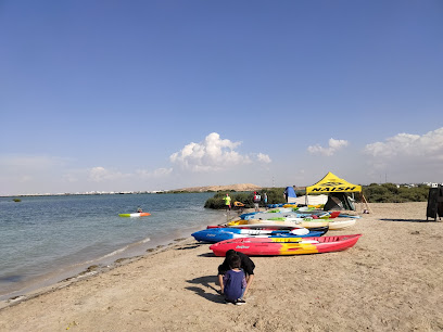 مانجروف بيتش ، أم أم القيوين - الشارقة -