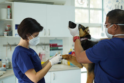 مودرن بيطري أبراج بحيرات جميرا - أم القيوين - +971 800 82