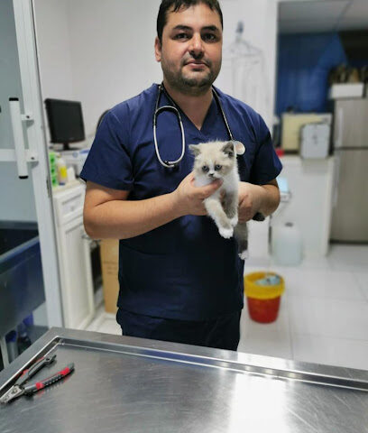 عيادة اتحاد الخليج البيطرية - أم القيوين - +971 2 585 3365