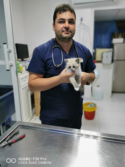 عيادة اتحاد الخليج البيطرية - United Arab Emirates|Al Wathba - Al-Wathba South - Abu Dhabi|12th St