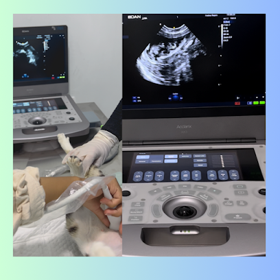 عيادة سكاي البيطرية - أم القيوين - +971 56 216 2122