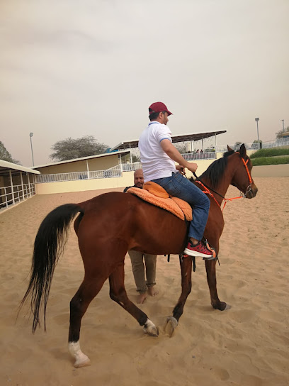 مزرعة الجابري / اسطبل صفري - United Arab Emirates|Dubai|6HC7+PH4