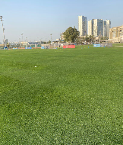 مدارس مانشستر سيتي لكرة القدم - الشارقة - +971 56 420 5685