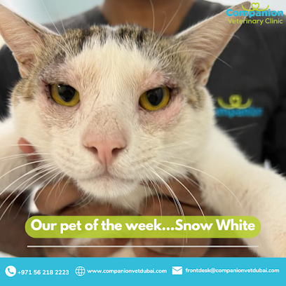 العيادة البيطرية المرافقة - أم القيوين - +971 56 218 2223