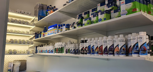 Discus.ae - الشارقة - +971 54 342 1098