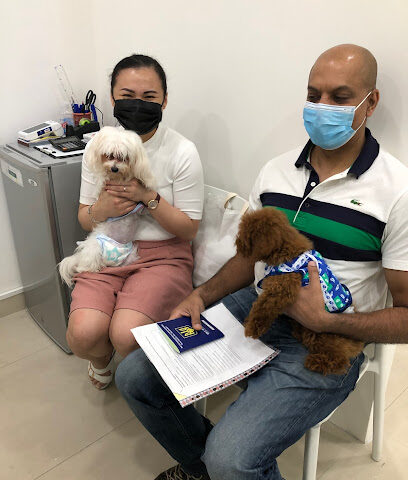 عيادة ماجستيك البيطرية - أم القيوين - +971 56 326 0726