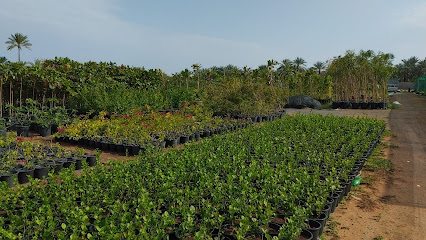 حضانة السماء - أم القيوين - +971 50 755 4746