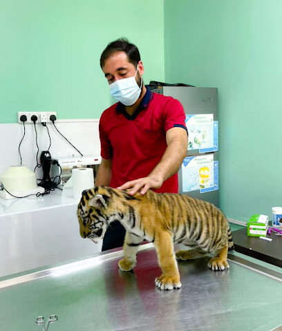 عيادة الجبيل البيطرية - أم القيوين - +971 56 434 7946