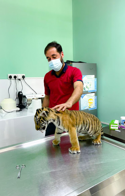 عيادة الجبيل البيطرية - United Arab Emirates|Al Mareija - Sharjah|Meena Road