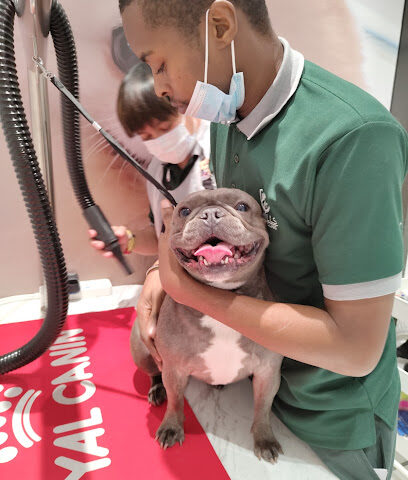 عيادة التلال البيطرية - أم القيوين - +971 4 330 8808