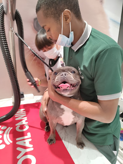 عيادة التلال البيطرية - United Arab Emirates|Dubai|Parkpoint Building B|Dubai Hills Estate