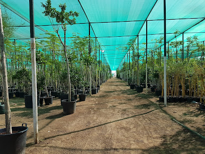 حضانة براري - أم القيوين - +971 56 414 8428