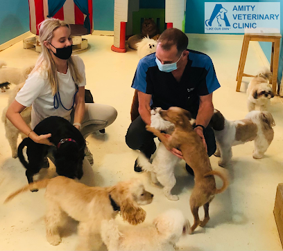 عيادة اميتي البيطرية - أم القيوين - +971 4 344 0856