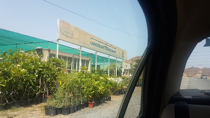 فن التشجير - أم القيوين - +971 50 774 4515