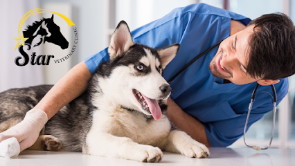 عيادة ستار البيطرية - أم القيوين - +971 4 327 4921