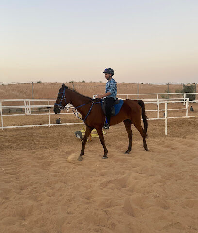 اسطبلات الوالي للفروسية - ALWALI STABLES - الشارقة - +971 50 200 6055