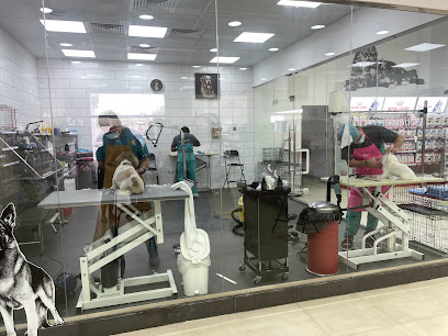 مركز الكناري للحيوانات الأليفة - أم القيوين - +971 7 233 2330