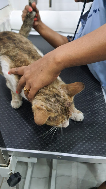 عيادة الوطنية البيطرية - United Arab Emirates|Al Jubail - Sharjah