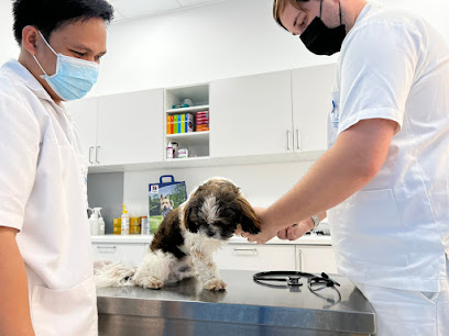 عيادة الواحة الزرقاء البيطرية فرع D2 - أم القيوين - +971 4 330 8557