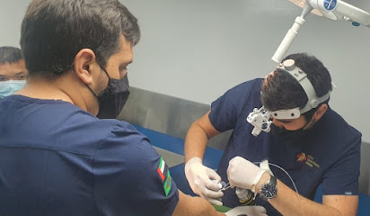 عيادة النخبة البيطرية - أم القيوين - +971 3 733 3473