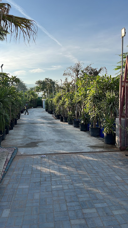 مشتل أبو عمر (مزرعة بن جميع) - United Arab Emirates|Wasit - Fujairah|H7R2+XM3