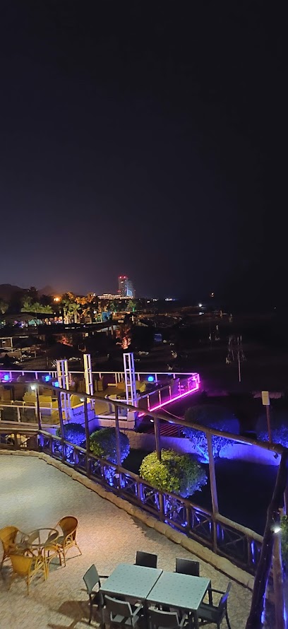 أوشن فيو بار - United Arab Emirates|Fujairah|Sandy Beach hotel
