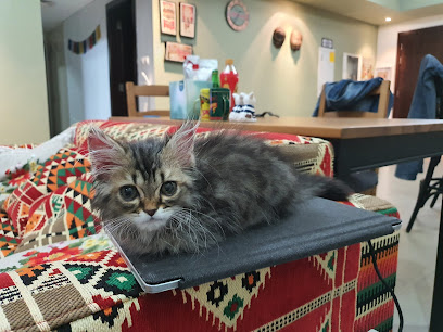 عيادة محبى الحيوانات الأليفة البيطرية - أم القيوين - +971 4 447 2289