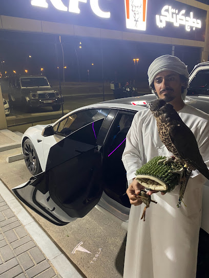 عيادة الصقور - United Arab Emirates|Al Wathbah - Al-Wathba South - Abu Dhabi|7JHX+3V