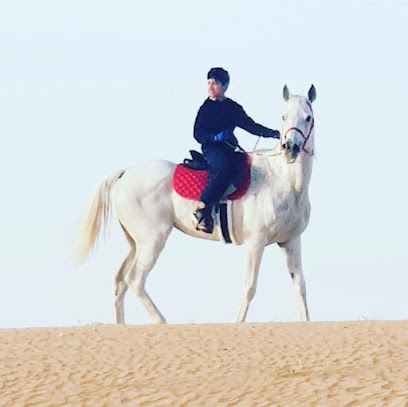 أسطبلات الذيب للقدره ذئب مستقر - الشارقة - +971 55 210 1016