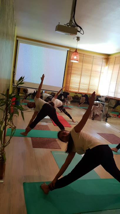 أحجار اليوجا - United Arab Emirates|Trade Centre - Trade Centre 1 - Dubai|E11