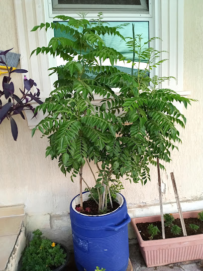 بلدة ADWEA S3 - United Arab Emirates|Al Ruways Industrial City - Abu Dhabi Water and Electricity ِAuthority (ADWEA) Twp - Abu Dhabi|3MQM+4RV