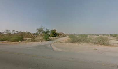 مربط جلفار مربط جلفار - الشارقة -