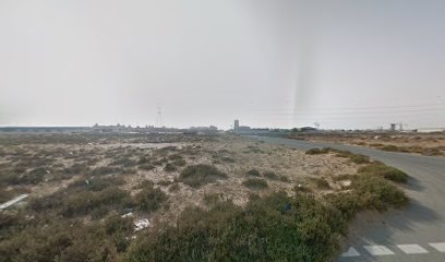 اجناس اجو - أم القيوين -