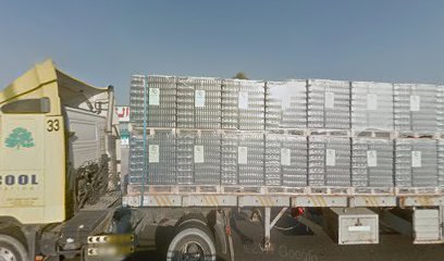 صيدلية ريتال - أم القيوين - +971 58 580 2017