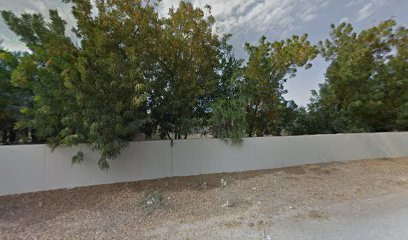 بساتين الزبير - أم القيوين -