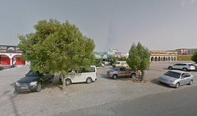 حدائق الخضراء - أم القيوين -